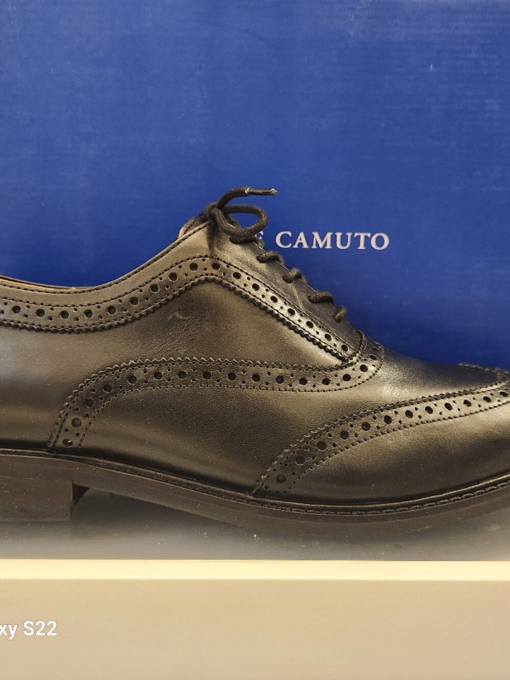 Vince Camuto Teryn Wingtip Oxfords. Leather. NIB. Size 11 Wide